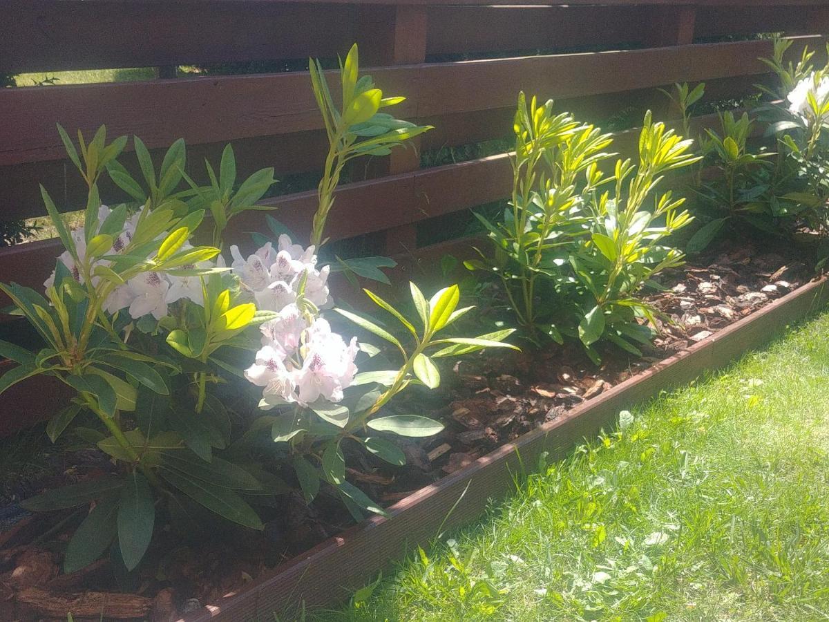 Apartament Jantar Z Ogrodem Kołobrzeg Esterno foto